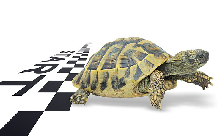Start Slow: The Right Way to Set Up a Pilot of Your CRM Software